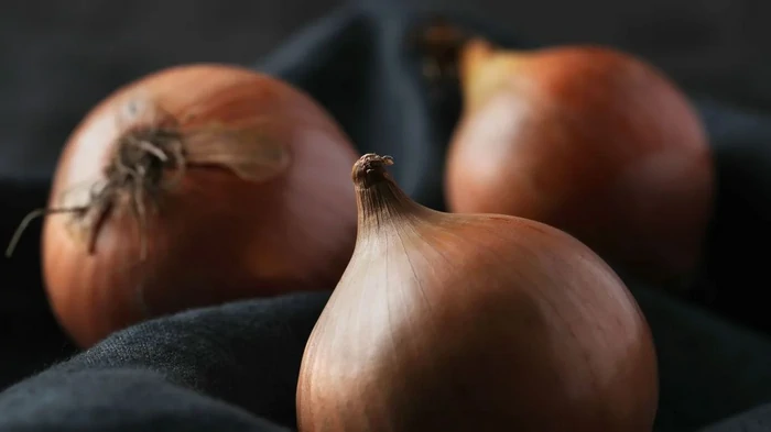 Las mejores variedades de cebollas gigantes tienen nombre: son dulces, jugosas y crecen bien en condiciones de frío y sequía