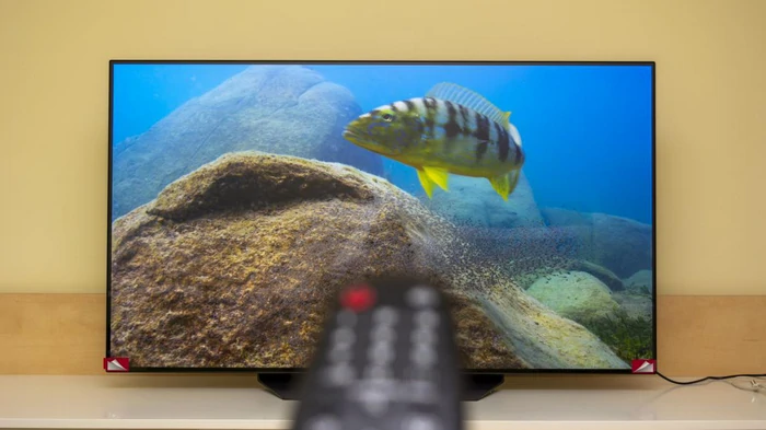 Los televisores OLED son realmente fiables: esto es lo que dicen los usuarios