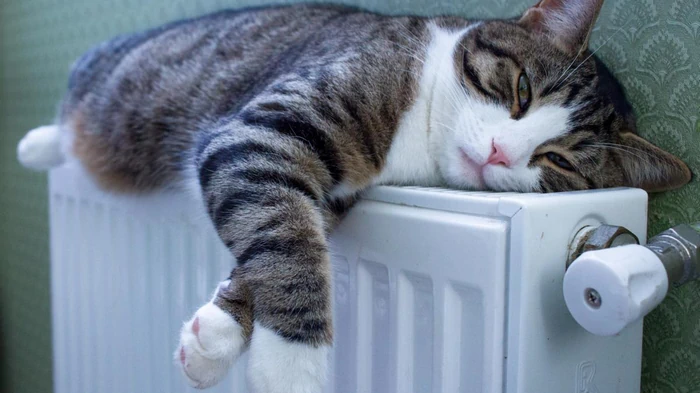 Poner papel de aluminio detrás de las pilas es inútil: hay una forma mucho mejor