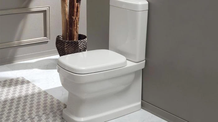 Tipos de WC y sus características